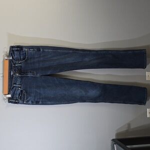 Silver Jeans Co. Blue Denim Jeans Women's 29 Elyse Straight Western Glove Works